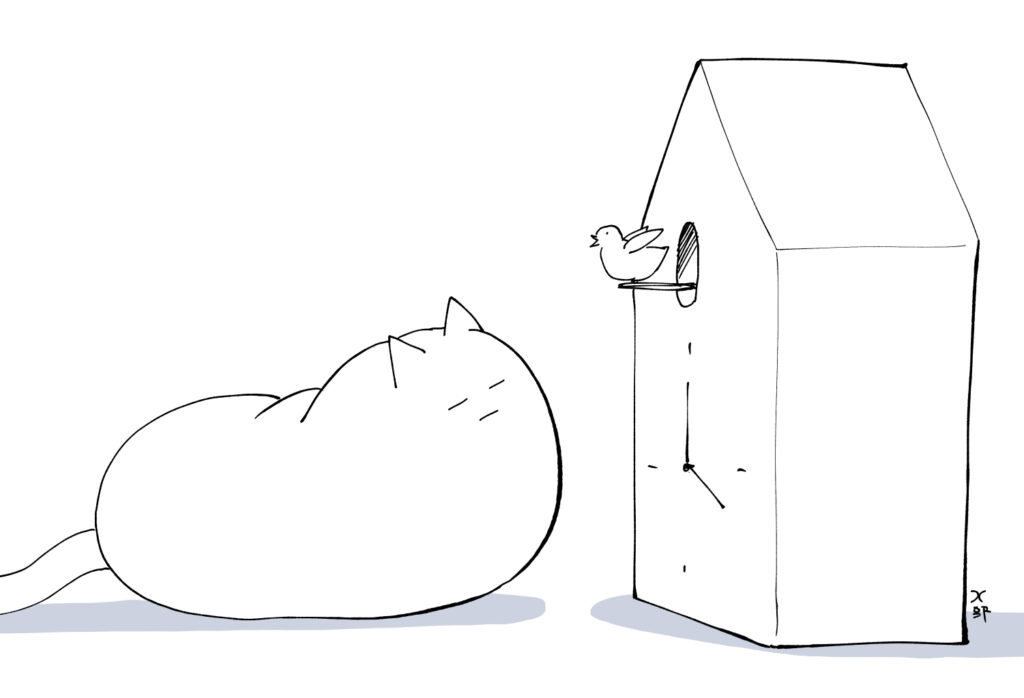 鳩時計と猫